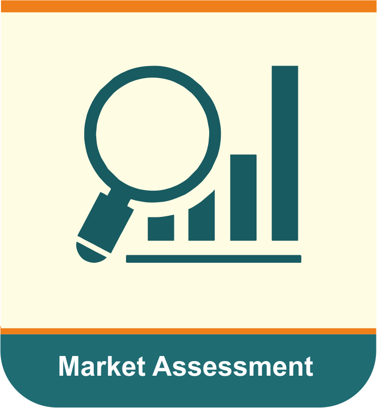 Market Assessment Modal